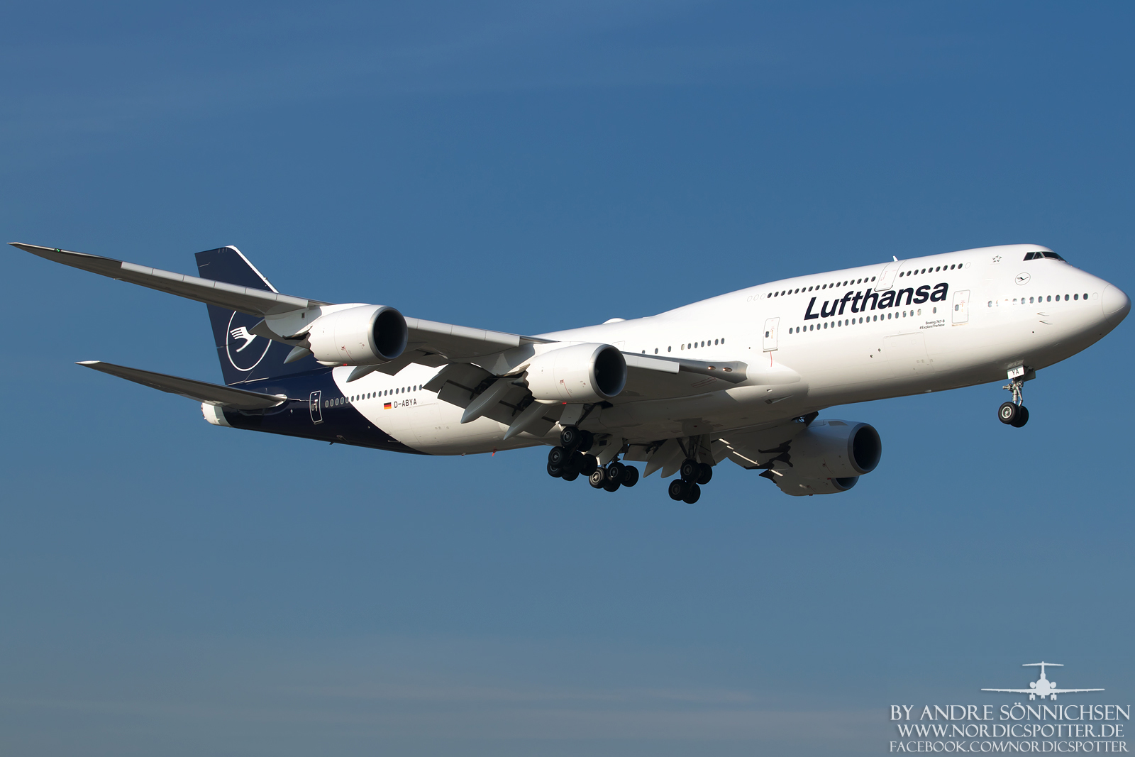 D-ABYA-1600-2.jpg